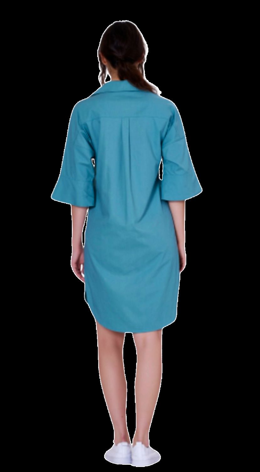 Minimalist Shirt Dress